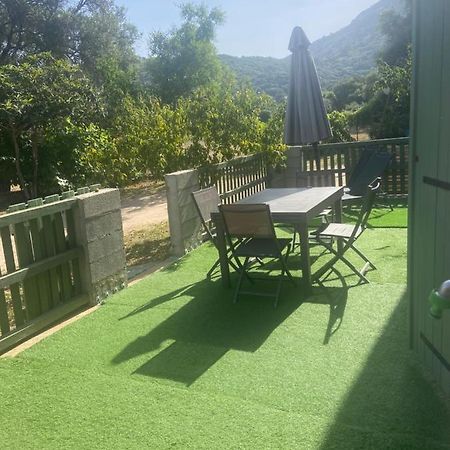Appartement Proche Du Depart Du Gr20 カロンザナ エクステリア 写真
