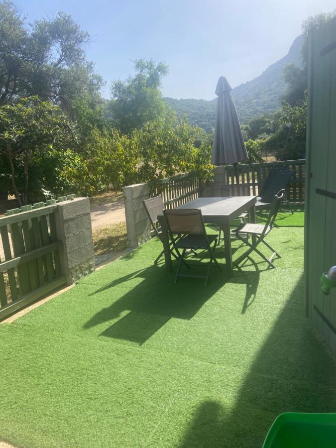 Appartement Proche Du Depart Du Gr20 カロンザナ エクステリア 写真